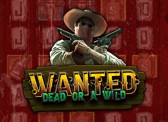 Wanted Dead or a Wild overview